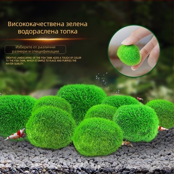 Изкуствен аквариум с топка от водорасли водни растения микро пейзаж екологична бутилка зелена топка от водорасли аквариум пейзаж вътрешен декорация на работния плот орнаменти