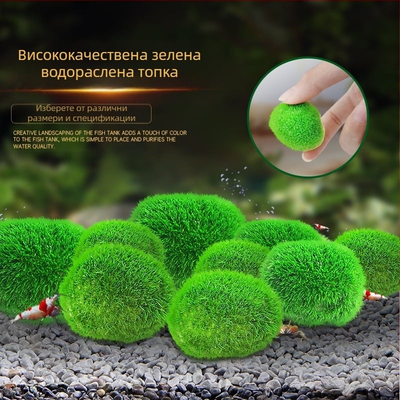 Изкуствен аквариум с топка от водорасли водни растения микро пейзаж екологична бутилка зелена топка от водорасли аквариум пейзаж вътрешен декорация на работния плот орнаменти