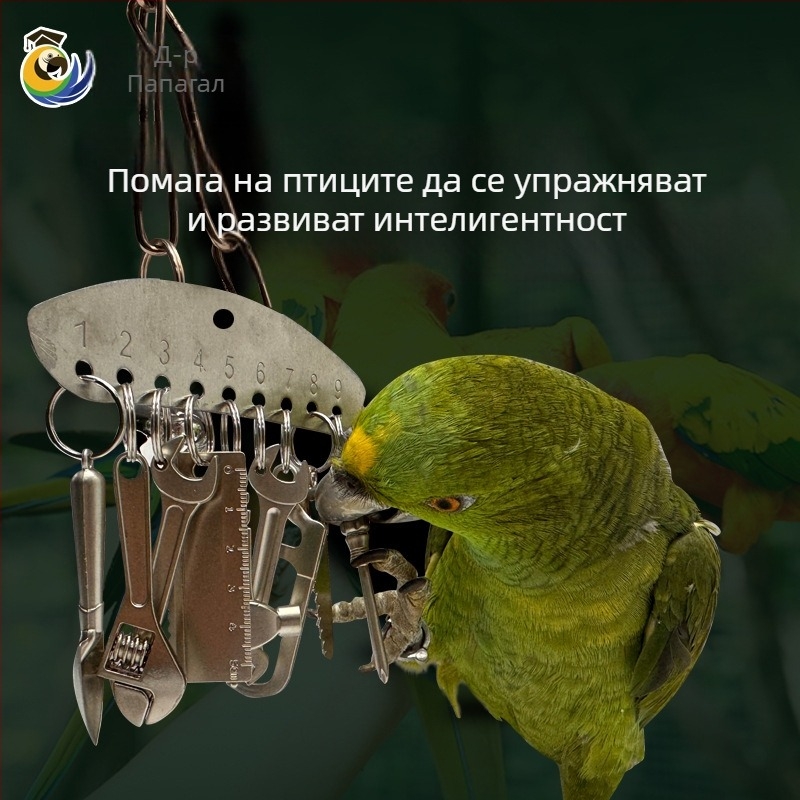 Метална играчка за дъвчене за папагал King Kong Grey Parrot, образователна рамка за птици, висулка за облекчаване на стреса и скуката