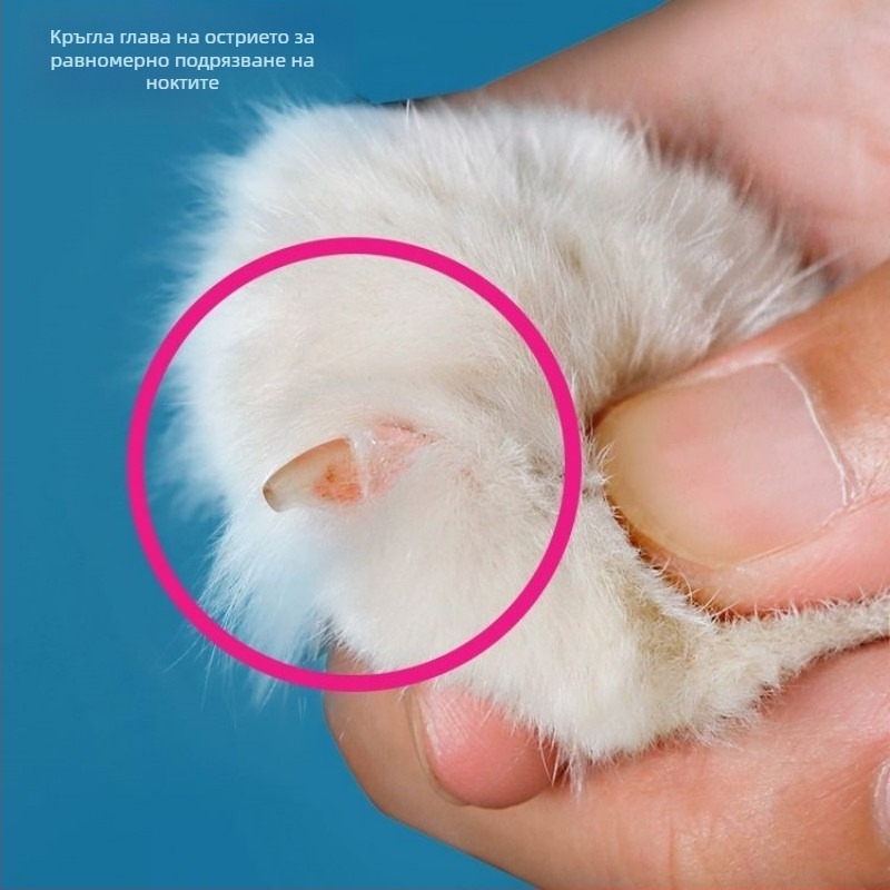 Нокторезачка за котки на едро, малка, слепа, специална нокторезачка за котки за домашни любимци, нокторезачка за начинаещи с кръгла дупка