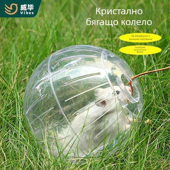 Кристална топка за бягане с хамстер, бягащо колело, ролка, Златна мечка, катерица, торбичка с мед, прозрачна външна лента, спортна топка, ходеща мишка, артефакт