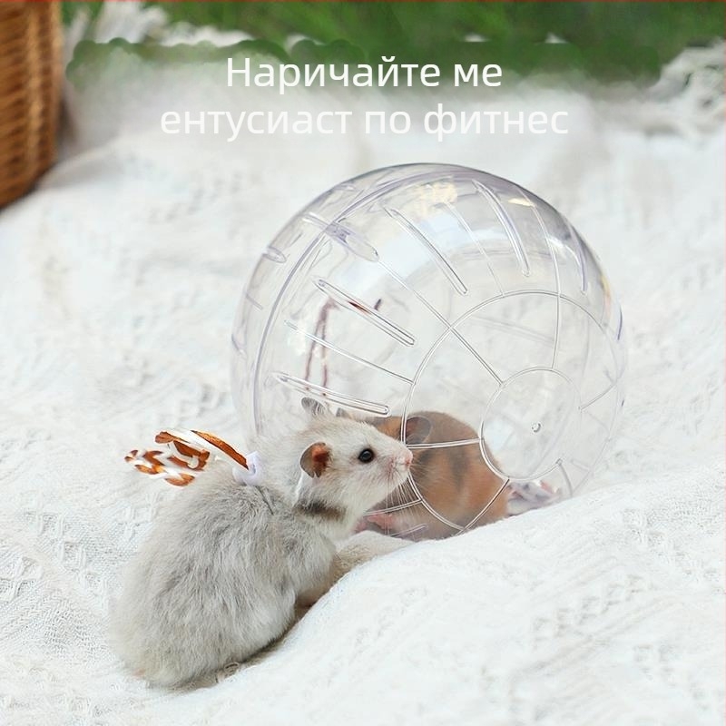 Кристална топка за бягане с хамстер, бягащо колело, ролка, Златна мечка, катерица, торбичка с мед, прозрачна външна лента, спортна топка, ходеща мишка, артефакт
