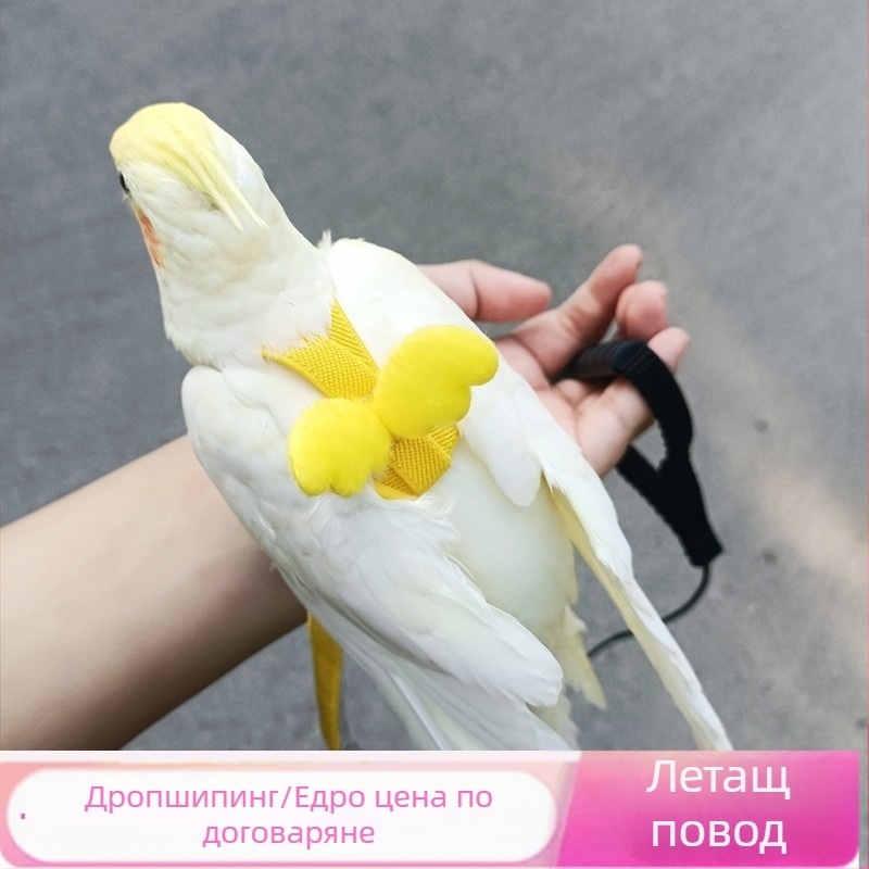 Въже за летене на папагал, каишка за птици, въже за ходене на птици, тигрова кожа, Xuanfeng, малко слънце, без крака, ултра леко теглително въже