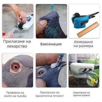 Принадлежности за гълъби, държач за домашни птици, държач за лекарства, хранене с ваксини, държач за хранене, наблюдение на птици, специално за бебета птици