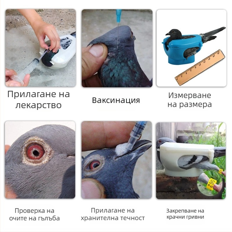 Принадлежности за гълъби, държач за домашни птици, държач за лекарства, хранене с ваксини, държач за хранене, наблюдение на птици, специално за бебета птици