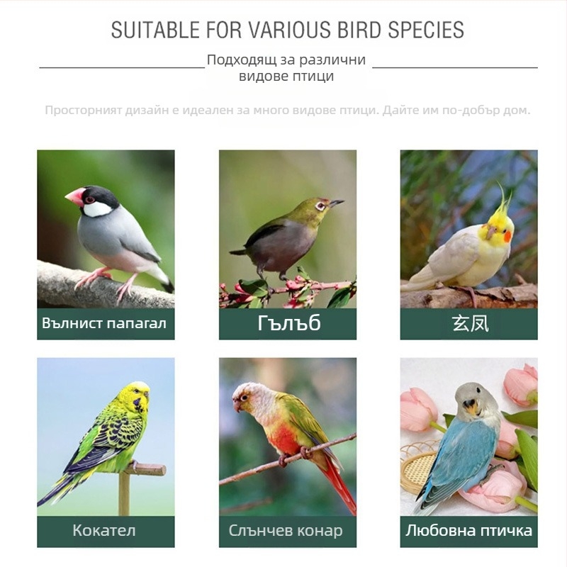 Трансгранично дървено птиче гнездо, удебелено папагалско малко гнездо, пасторално, екологично чисто външно гнездо, къща за птици, клетка за птици, къщичка за птици