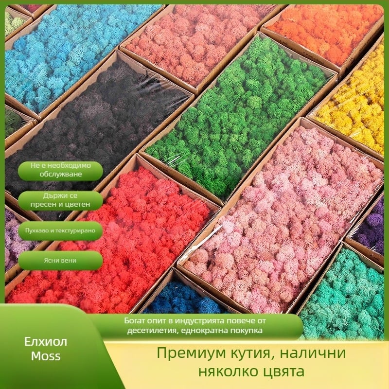 Безсмъртен мъх, кутииран мъх, растение за стена, озеленяване, мъх, витрина, интериорни декорации, микропейзаж, вечен мъх