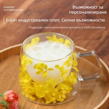 Двуслойна стъклена чаша за кафе от боросиликатно стъкло с дръжка, вградена чаша за сухи цветя