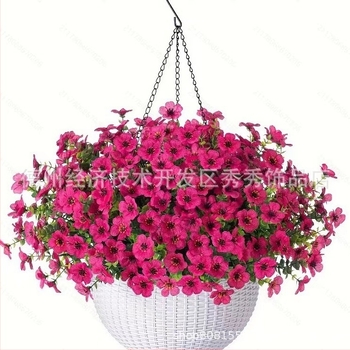 Трансгранично изкуствено цвете Коледна желязна рамка кокосова палма висяща кошница фалшива виолетова декорация външна висяща кошница за входна врата висяща орхидея на едро