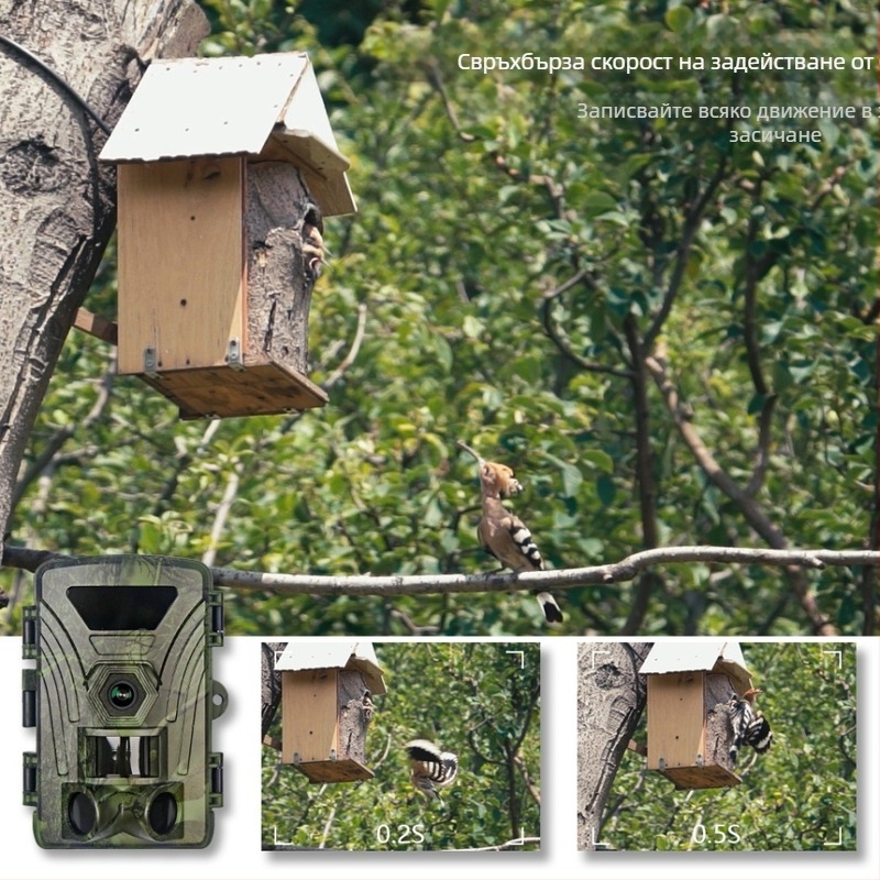 8K инфрачервена екшън камера Wifi Pr802W, външно наблюдение, наблюдение на животни, ден и нощ, фото и видео наблюдение