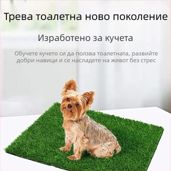 Amazon Hot Pet Dog Toilet Treat Mat Dog Kennel Summer AliExpress Hot Transgranic Foreign Trade Workers