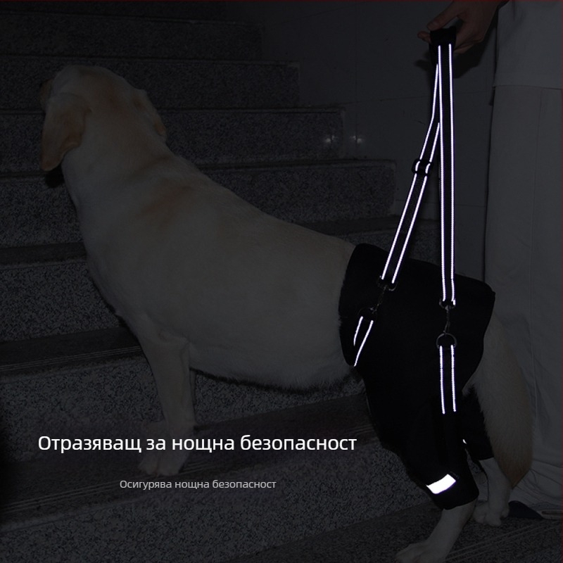 Трансграничен спомагателен колан за задни крака на кучета за възрастни кучета, рехабилитация на кучета с увреждания, въже за повдигане на задни крака на едро