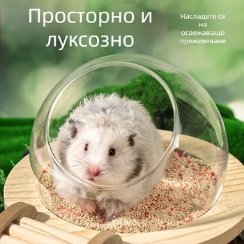 Капсула за баня Hamster Bathroom Space Bath Room WC Toilet Dual Use Golden Bear Washing Body Mouth Sand Wash Mouth Soils Anti-Splash