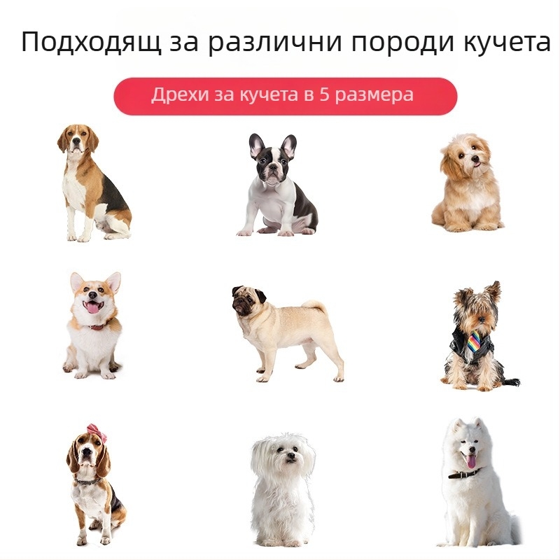 Трансграничен есенно-зимен нов дъждобран за кучета с цветни блокове, дрехи за домашни любимци, нова модерна марка плюшено мече за малко куче