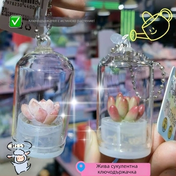 Креативно сукулентно растение, малка висулка, занаятчийски подарък, украшение за кола, декорация, мини растение, облекчаване на стреса, малък аксесоар