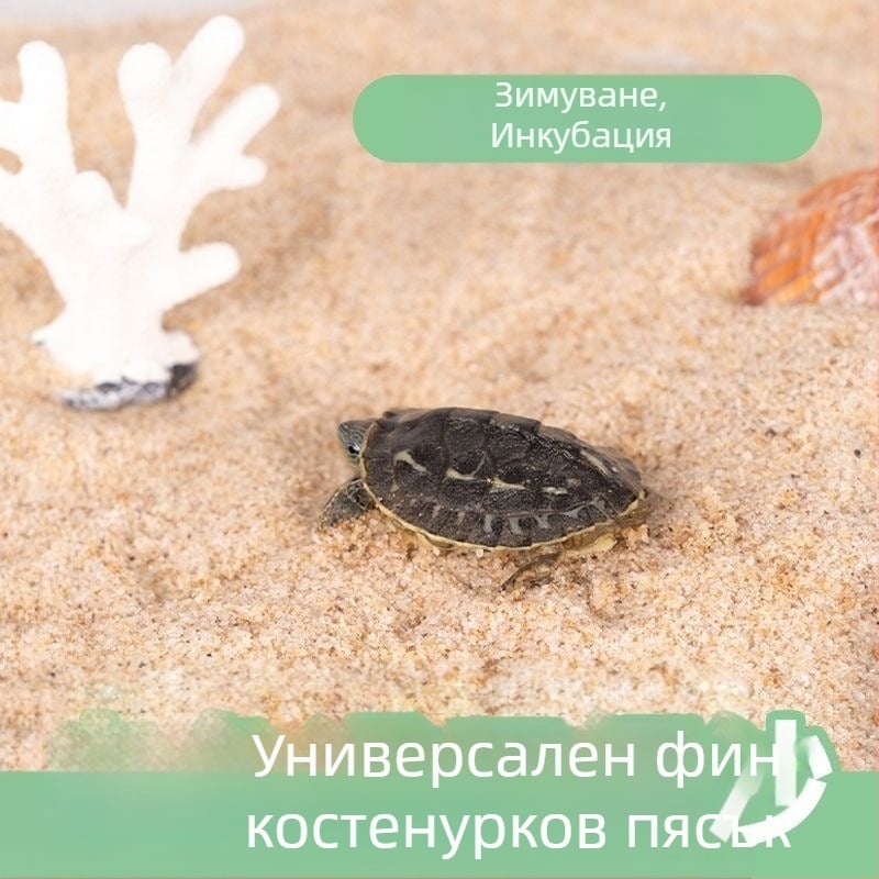 Пясък за река Костенурка, кристален фин пясък, пясък за дъно на аквариум, озеленителен пясък, декоративен аквариум за костенурки, специален пясък, железен пясък, каменно дъно