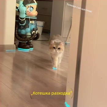 Светещи обувки за котки, обувки за кучета, свирка, светещи детски играчки, аксесоари за нощни снимки, обличане на котки