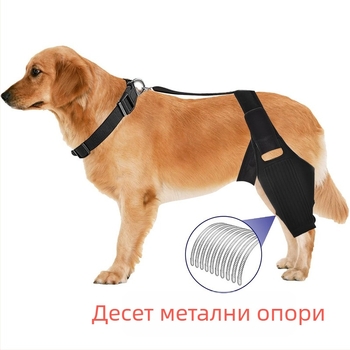 Наколенка за кучета Amazon, колянна става за кучета, предна кръстна връзка за домашни любимци, крак за домашни любимци, защита от скъсване на връзки, рехабилитационен колан за разединяване на ставите