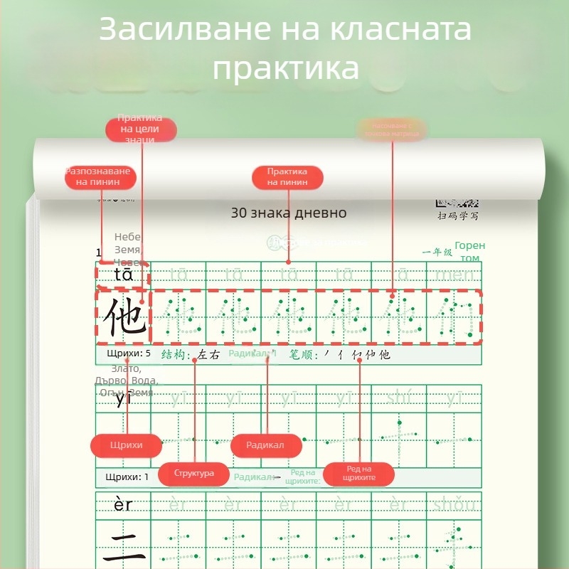 [Декомпресия синхронна тетрадка с 30 думи на ден] Матрична китайска живопис, червена калиграфия, нови думи за ученици от начално училище 1-6 клас
