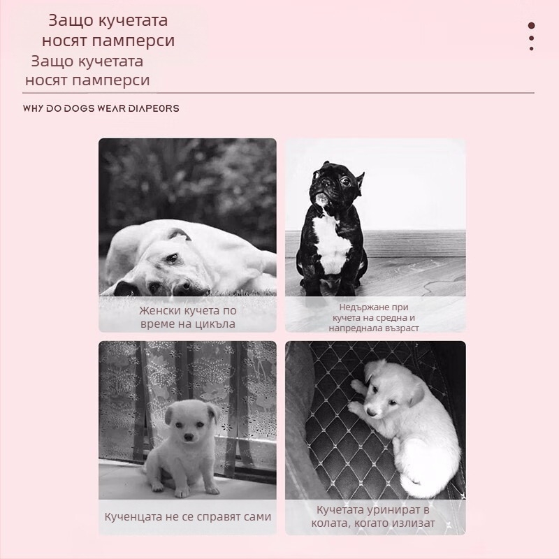 Физиологични пелени за кучета за женски и мъжки кучета, хигиенни превръзки за домашни любимци, дишащи панталони с придърпване
