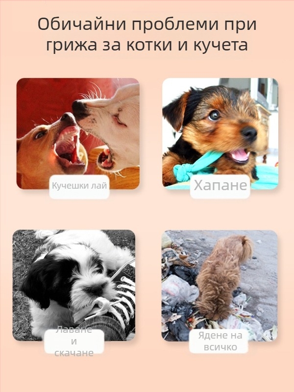 Стик за дресировка на кучета за домашни любимци, Стик за дресировка на кучета, Love Whip Training, Обучение на кучета, Неза кучета, Безплатна доставка