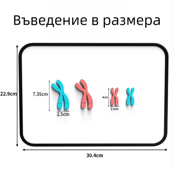 Liuxin учебно пособие: модел на промяна на хромозомите в мейозата с магнитно абсорбиращ механизъм на пластмасова магнитна дъска