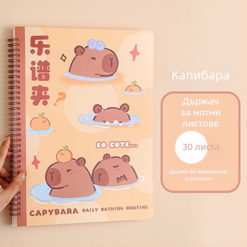 Пластмасова папка за нотни листове с клип, матова повърхност, персонализируема, 20 страници, дебелина 14C