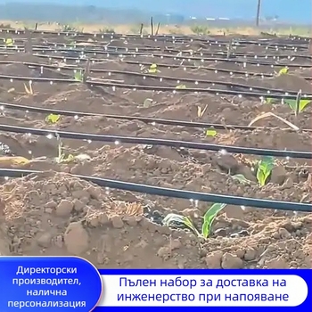 Двуотворна Patch-Type лента за капково напояване за оранжерийни култури (зеленчуци, чушки, ягоди) – Golden Autumn