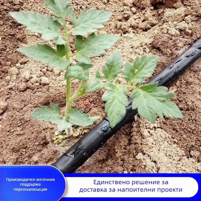 Двуотворна Patch-Type лента за капково напояване за оранжерийни култури (зеленчуци, чушки, ягоди) – Golden Autumn