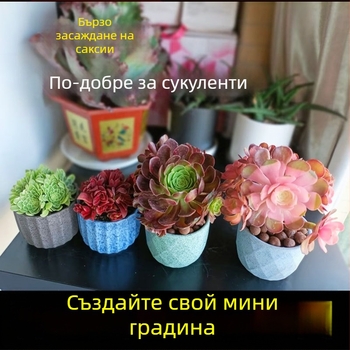 Сукулентова керамична саксия, дишаща и устойчива, изпичана при висока температура, настолен или подов монтаж
