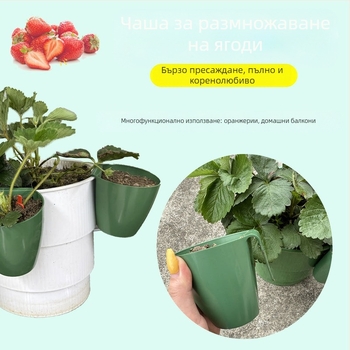 Пластмасова чашка за разсад ягоди, дишаща чашка за пресаждане в оранжерия