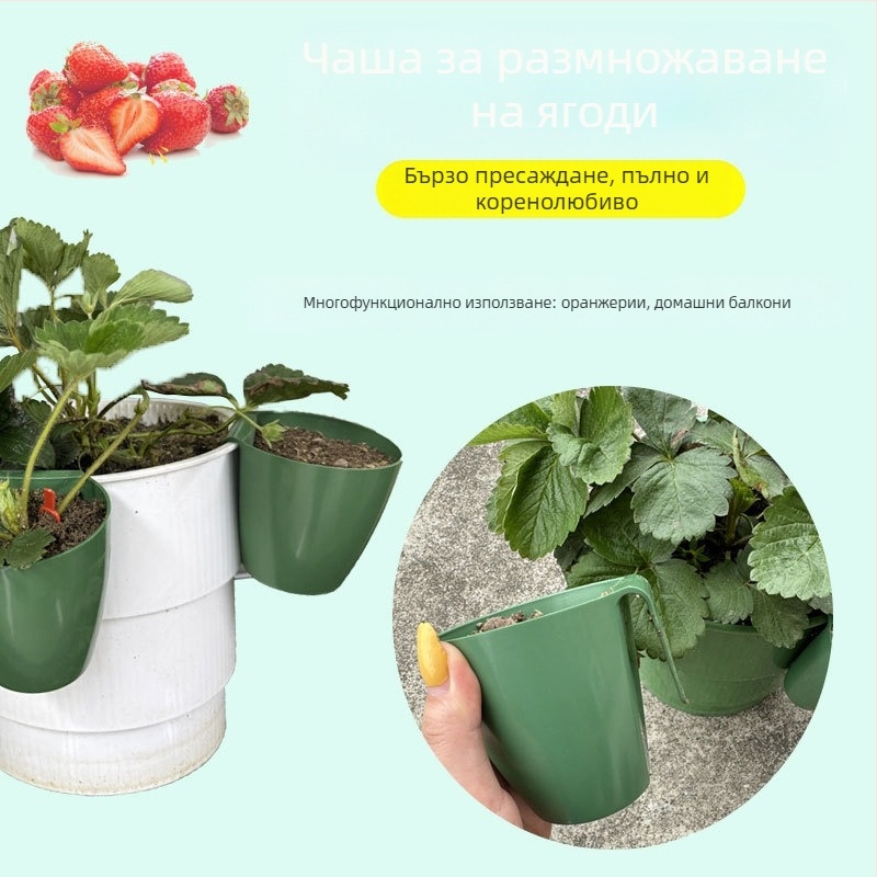 Пластмасова чашка за разсад ягоди, дишаща чашка за пресаждане в оранжерия