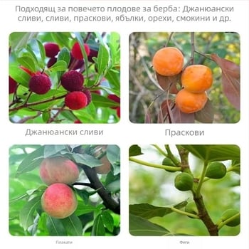 Телескопична пръчка за беритба на плодове с кука; неръждаема стомана + галванизиран плодоберач; регулируеми 3–6 секции; тегло 0.6 кг, 1.7 кг, 2.5 кг