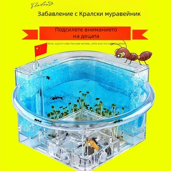 Ант ферма за наблюдение с хранилка, база за вила и дизайн на замък (Произход: Друг; Внос: Не; Приложимо за: Други; Марка: Други)
