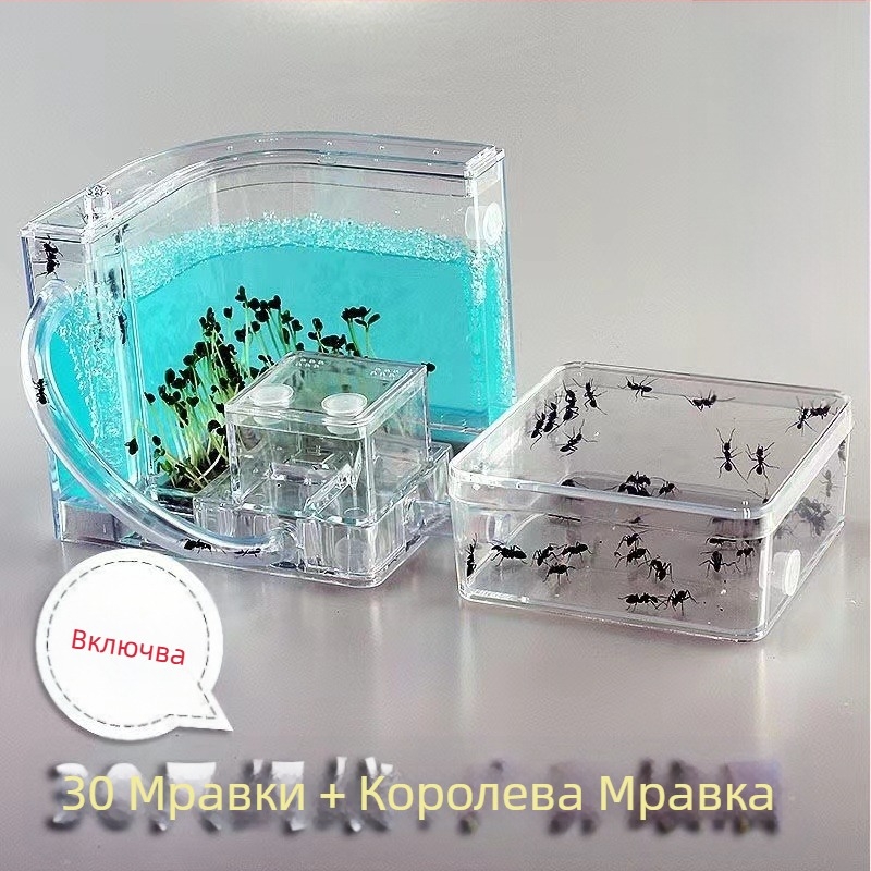 Ант ферма за наблюдение с хранилка, база за вила и дизайн на замък (Произход: Друг; Внос: Не; Приложимо за: Други; Марка: Други)