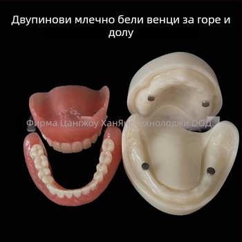 Модел за зъбни импланти за практика – горна и долна челюст, половин устна версия с 2 или 4 импланти