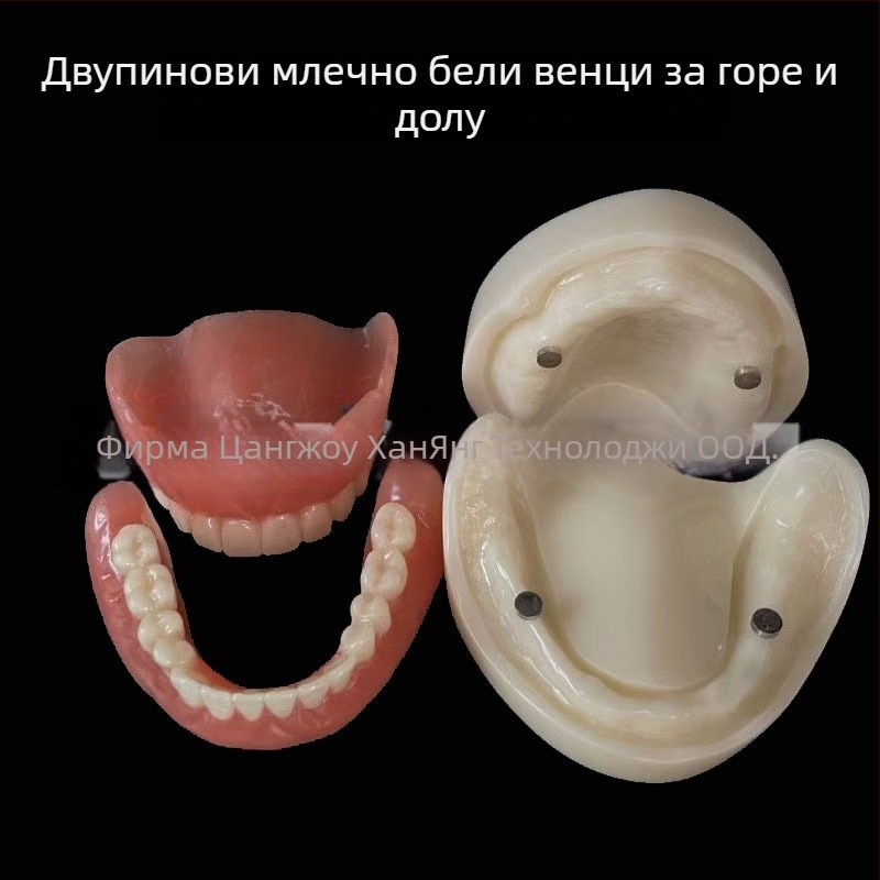 Модел за зъбни импланти за практика – горна и долна челюст, половин устна версия с 2 или 4 импланти