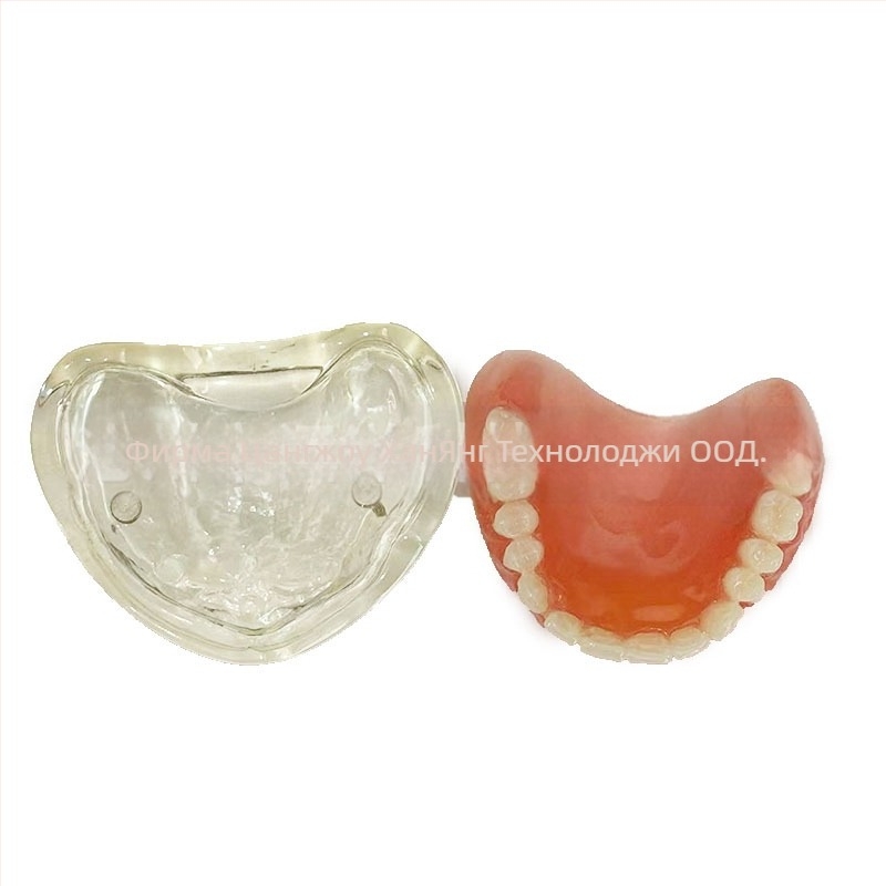 Модел за зъбни импланти за практика – горна и долна челюст, половин устна версия с 2 или 4 импланти