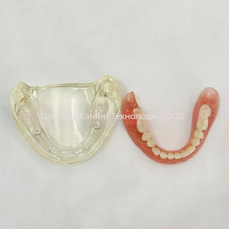 Модел за зъбни импланти за практика – горна и долна челюст, половин устна версия с 2 или 4 импланти