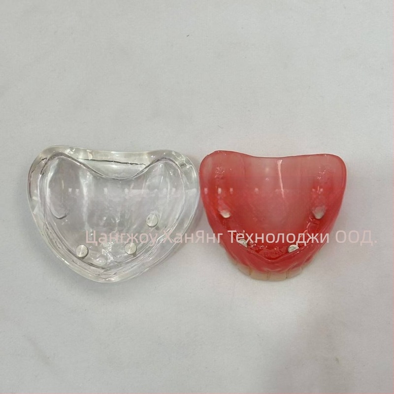 Модел за зъбни импланти за практика – горна и долна челюст, половин устна версия с 2 или 4 импланти