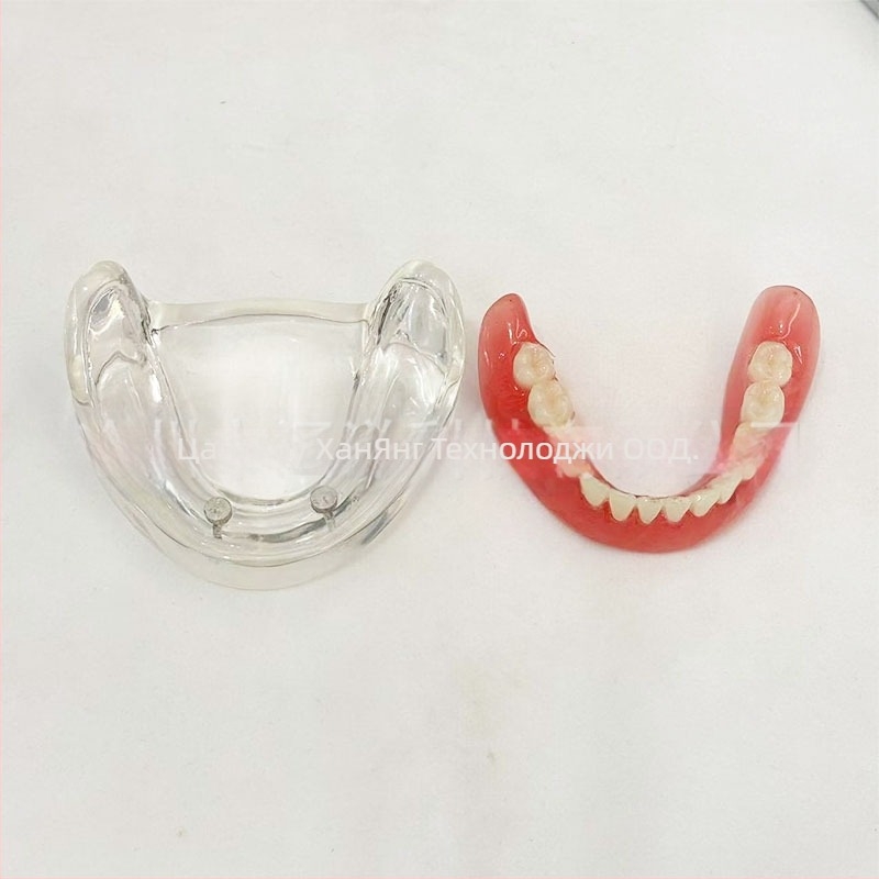 Модел за зъбни импланти за практика – горна и долна челюст, половин устна версия с 2 или 4 импланти