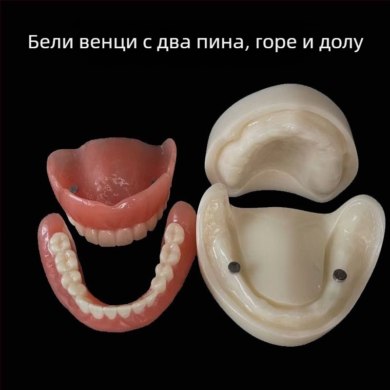 Модел за зъбни импланти за практика – горна и долна челюст, половин устна версия с 2 или 4 импланти