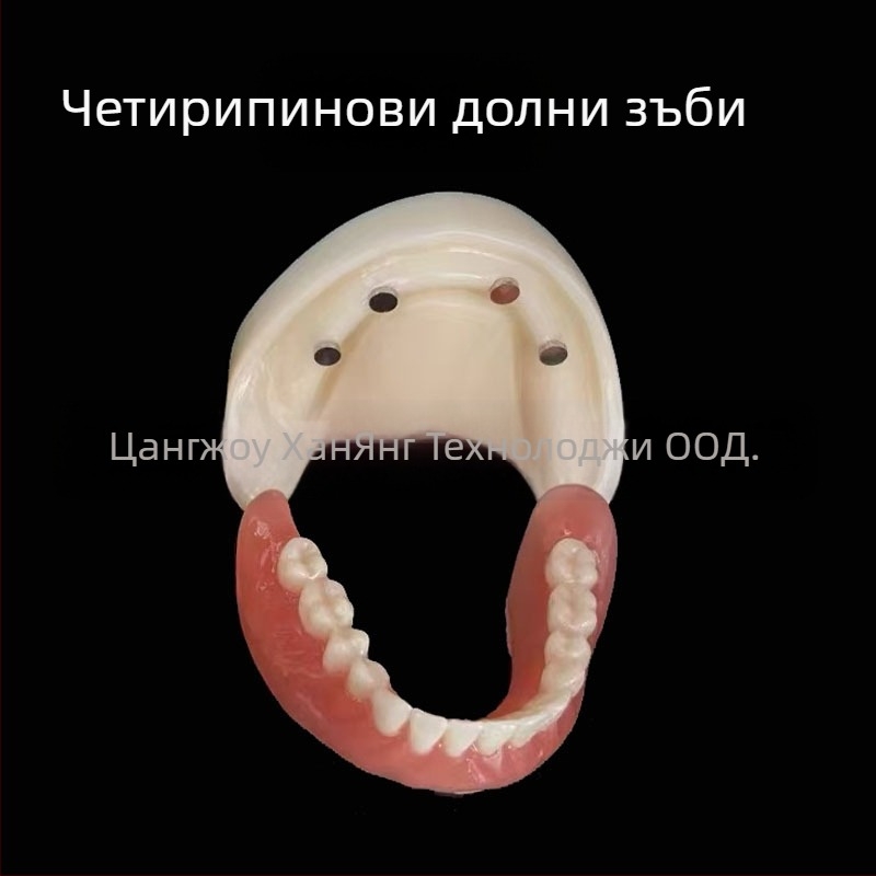 Модел за зъбни импланти за практика – горна и долна челюст, половин устна версия с 2 или 4 импланти