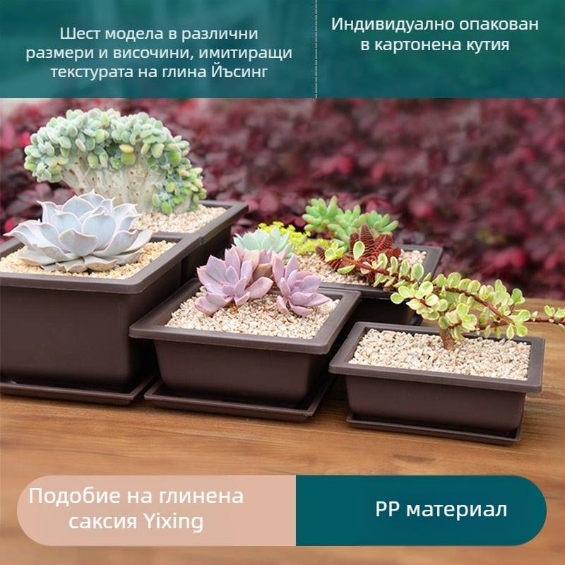 Саксия за сукуленти, правоъгълна плитка форма, от смола, комплект с тава за засаждане и долна тава за домашна употреба
