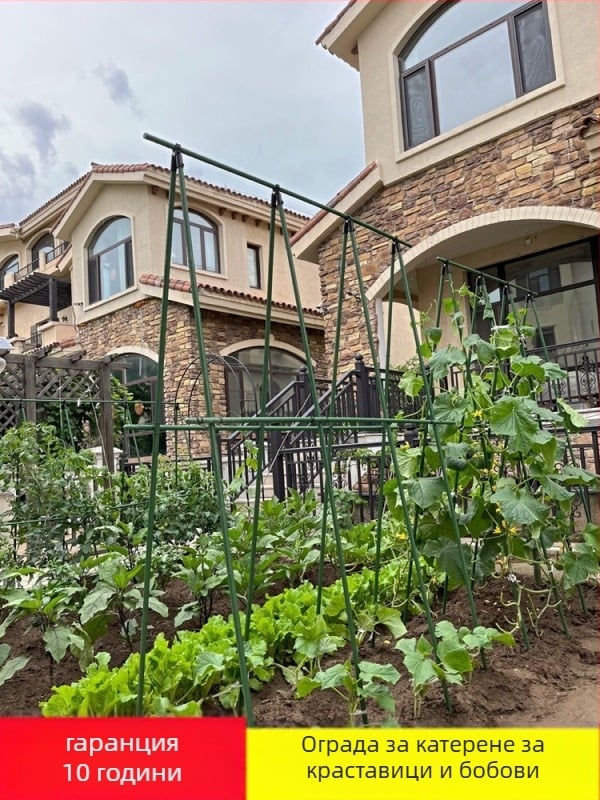 Опора за катерещи растения, свободностояща, домашно градинарство, модерен минимализъм