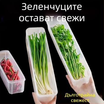 Кутия за съхранение в хладилник за кориандър и зелен лук — Nordic стил, сребърен метал, нестандартна форма