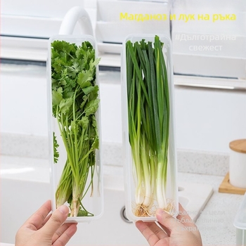 Кутия за съхранение в хладилник за кориандър и зелен лук — Nordic стил, сребърен метал, нестандартна форма