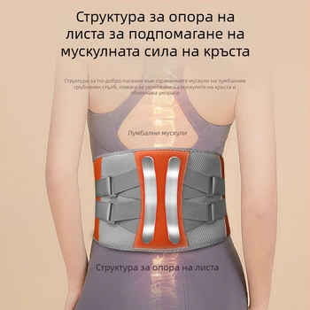 Безжичен масажор за талията с USB захранване, компютърно управление, 3 скорости, вибрационен масаж и топлинен компрес, 8+ масажни глави, версия 2024