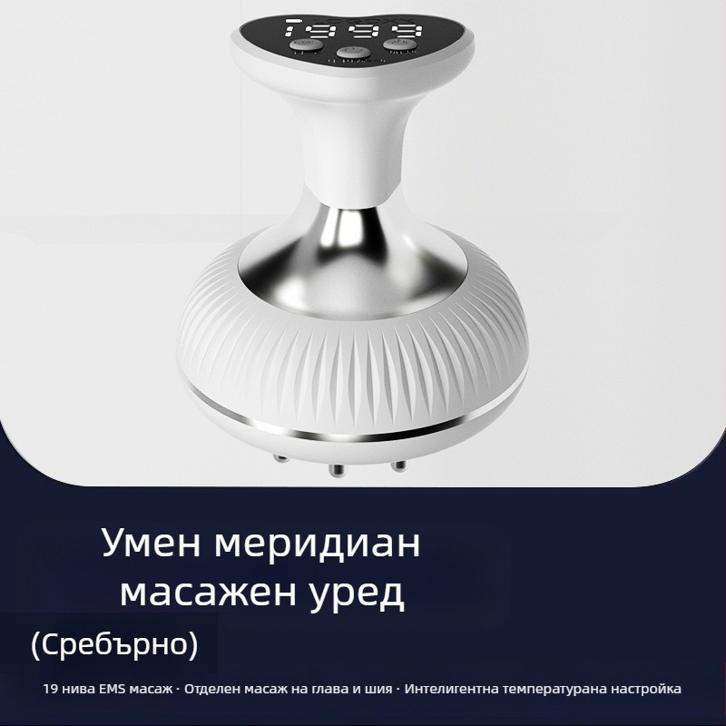 X1009 Преносим електрически меридианен масажор за цялото тяло, презареждаем, температурен контрол 55°C, безстепенна скорост, ABS корпус, 1200mAh батерия