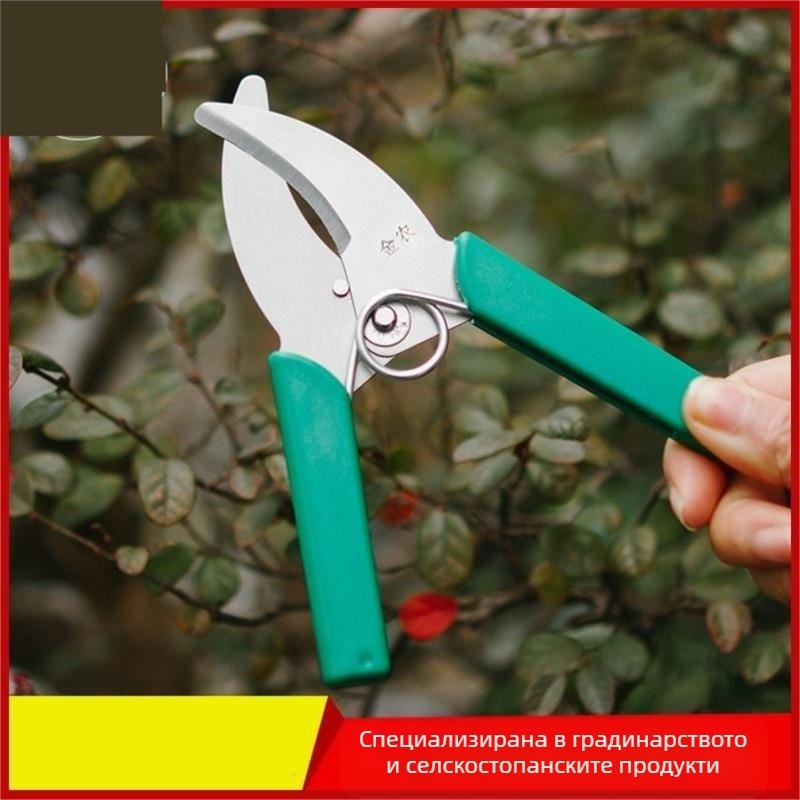 Ножици за рязане на пръстени – за грозде, клони и плодни дървета – Pride surplus; Материал: Друг; Внос: Не